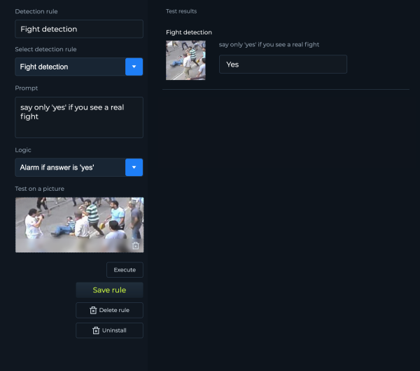 Fight detection example